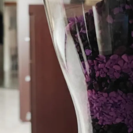 Appartamento Casappia Roma